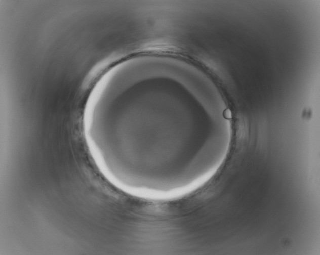 X0000113061358200910091133