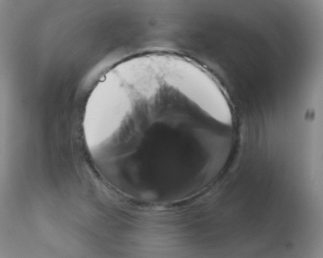 X0000113061359200910091133