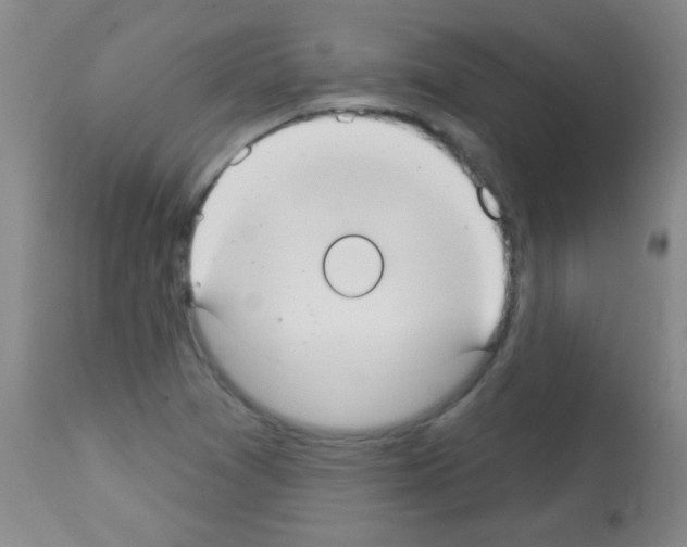 X0000113061361200910091133