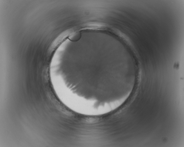 X0000113061362200910091133
