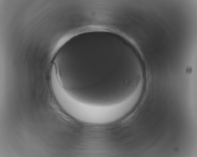 X0000113061365200910091133