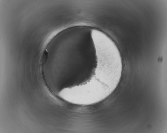 X0000113061367200910091133