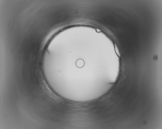 X0000113061368200910091133