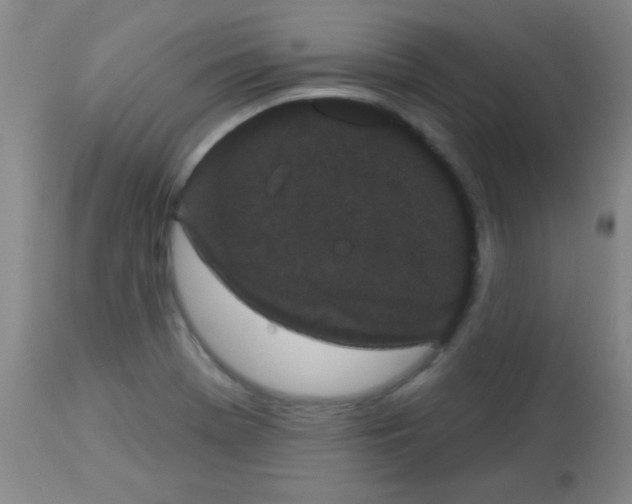 X0000113061369200910091133