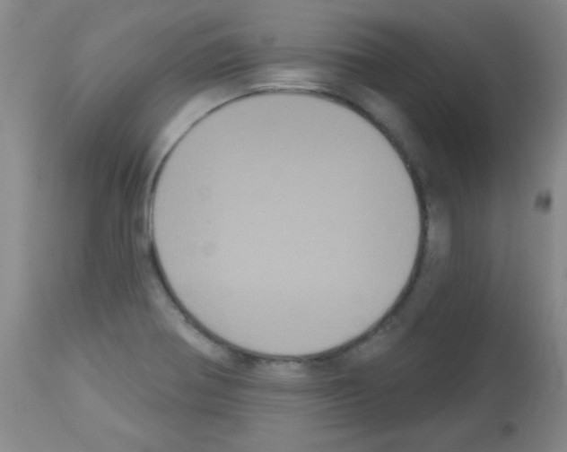 X0000113061370200910091133