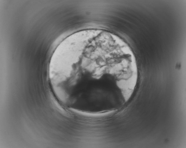 X0000113061371200910091133