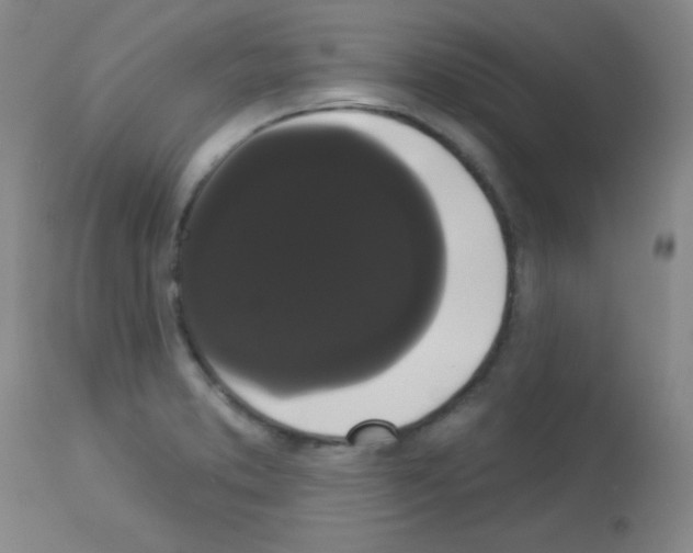 X0000113061373200910091133