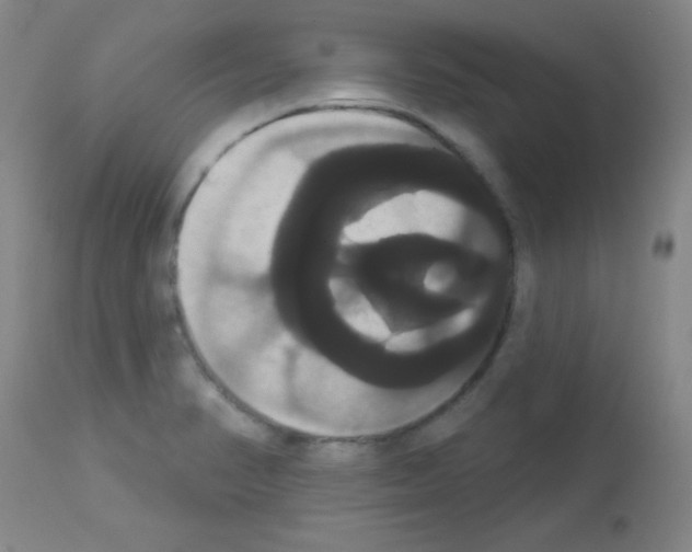 X0000113061374200910091133