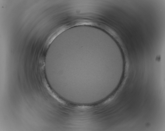 X0000113061377200910091133