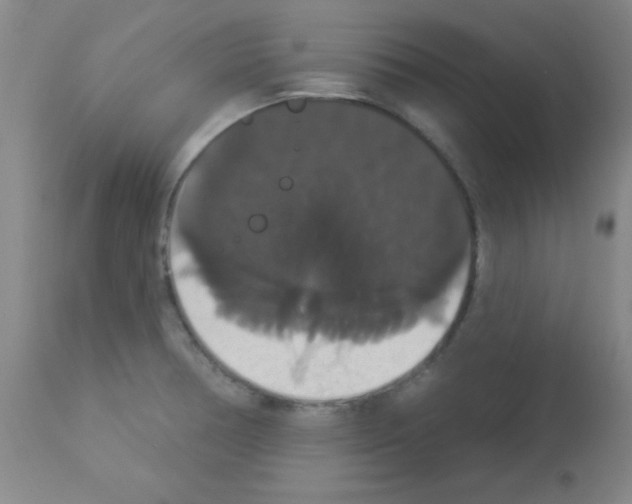 X0000113061378200910091133