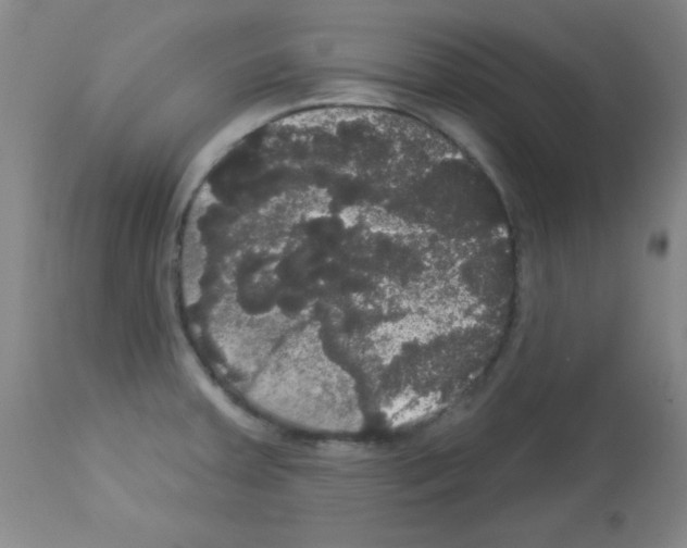 X0000113061379200910091133