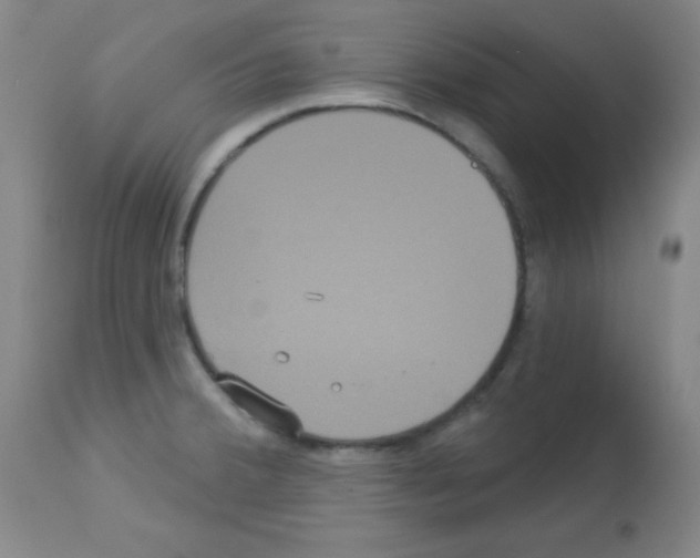 X0000113061380200910091132