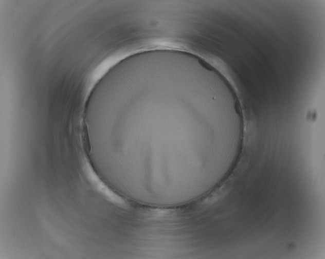 X0000113061381200910091132