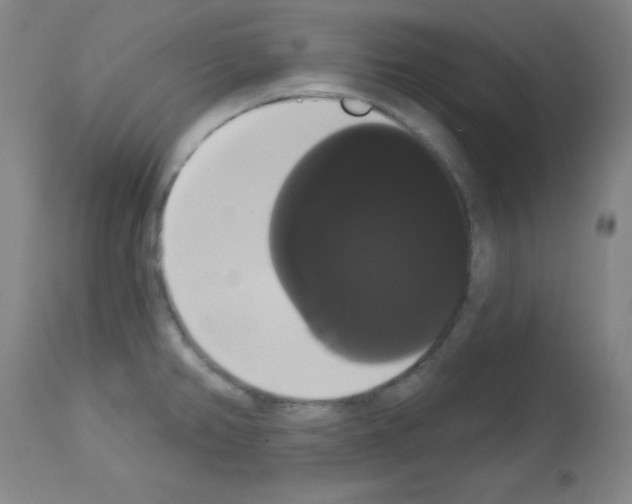 X0000113061382200910091132