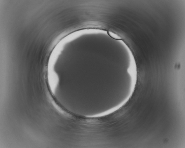 X0000113061383200910091132