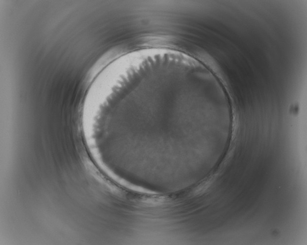 X0000113061386200910091132