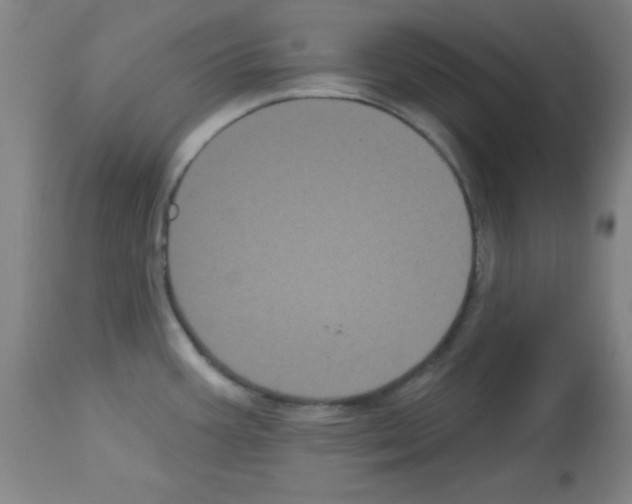 X0000113061387200910091132