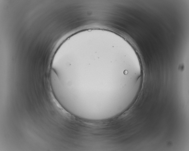 X0000113061388200910091132