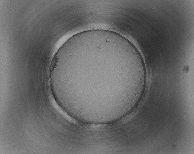 X0000113061389200910091132