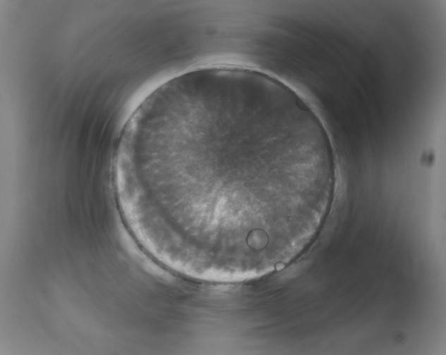 X0000113061390200910091132