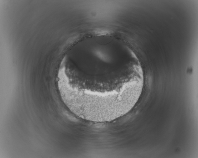 X0000113061393200910091131
