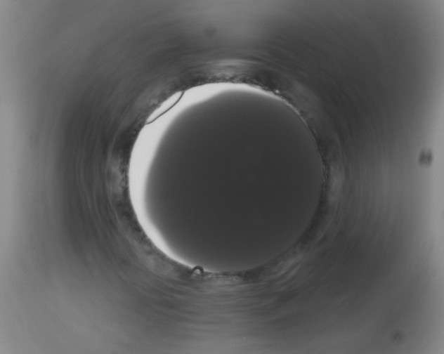 X0000113061394200910091131