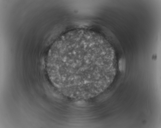 X0000113061395200910091131