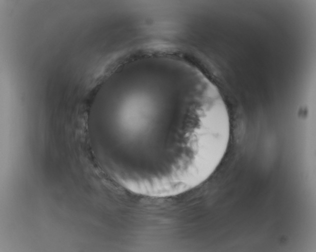 X0000113061397200910091131