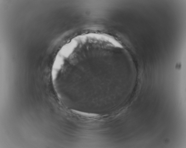 X0000113061398200910091131