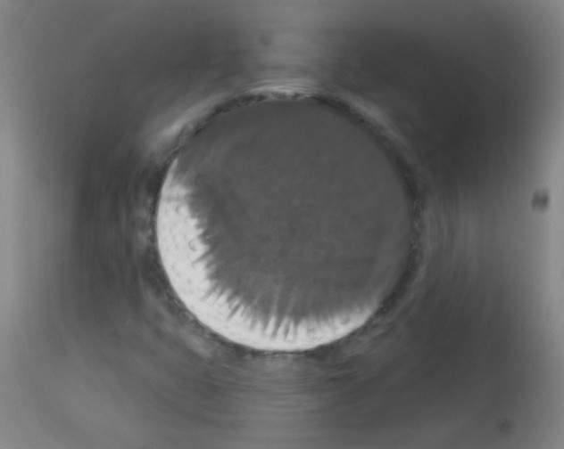 X0000113061399200910091131