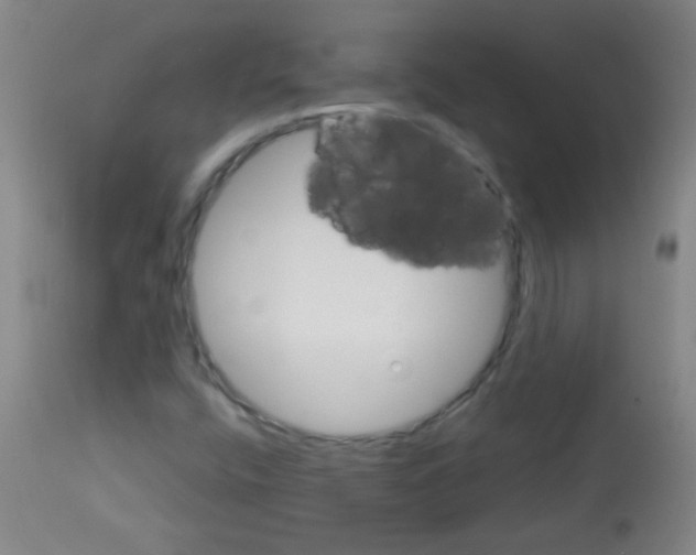X0000113061400200910091131