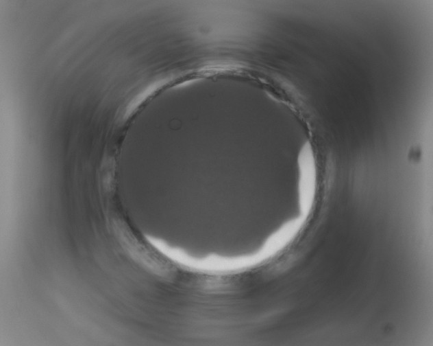 X0000113061401200910091131