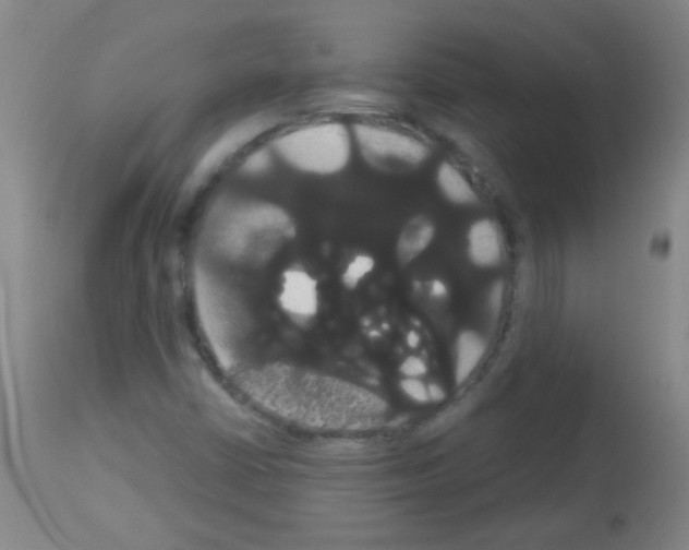 X0000113061402200910091132
