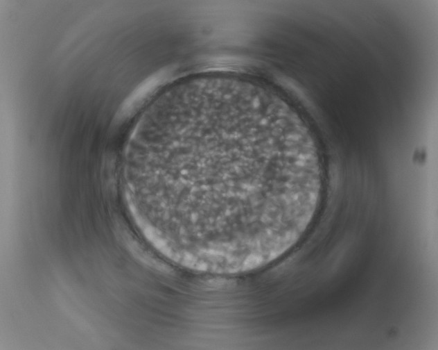 X0000113061403200910091132