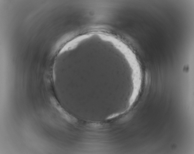 X0000113061405200910091132