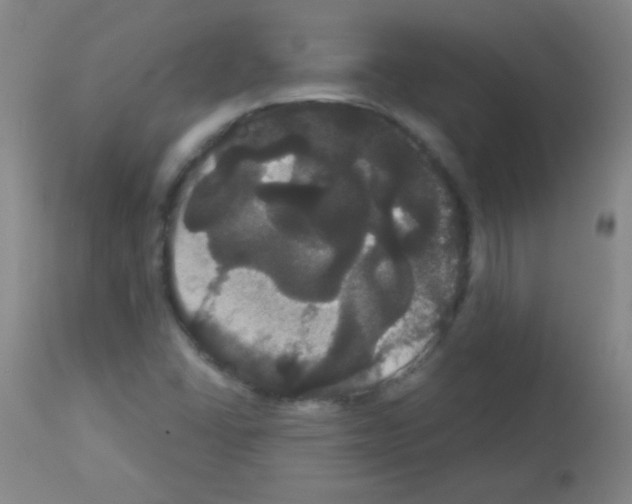 X0000113061406200910091132