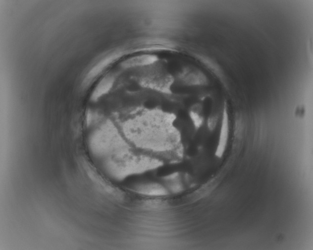 X0000113061407200910091132