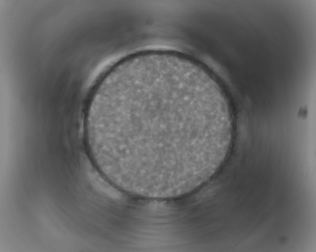 X0000113061408200910091132