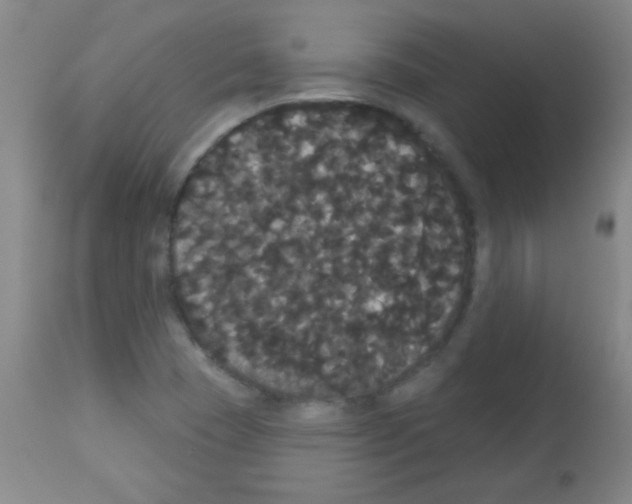 X0000113061409200910091132