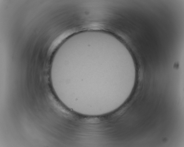 X0000113061410200910091132