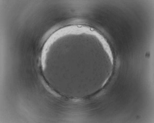 X0000113061413200910091132