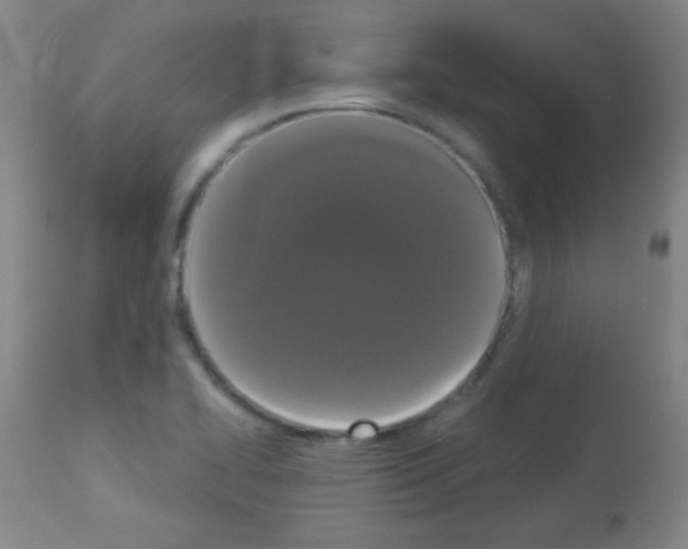 X0000113061414200910091132