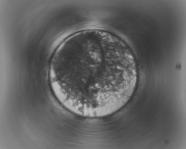 X0000113061415200910091132