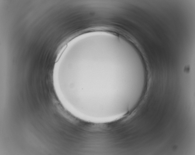 X0000113061417200910091132