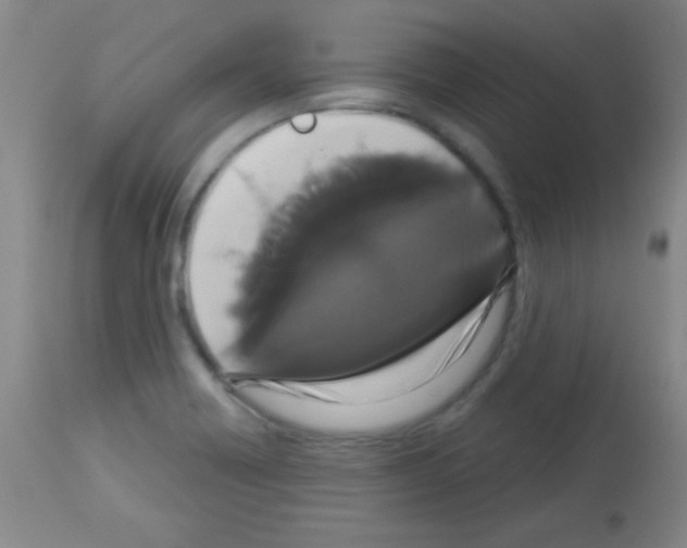 X0000113061418200910091132