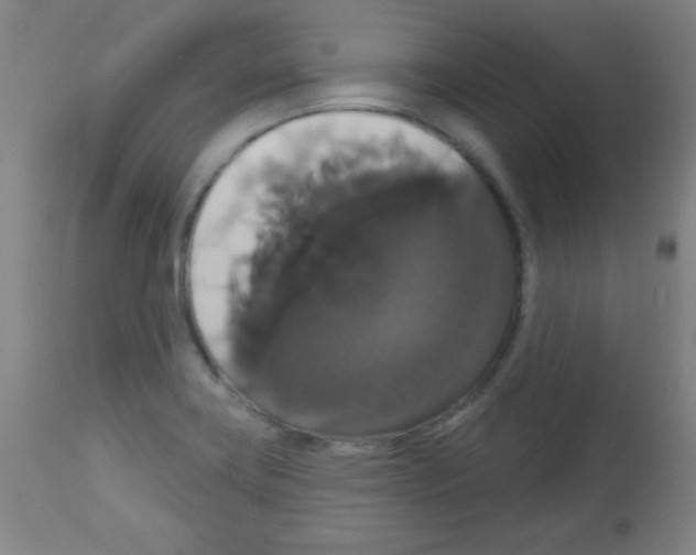 X0000113061419200910091132