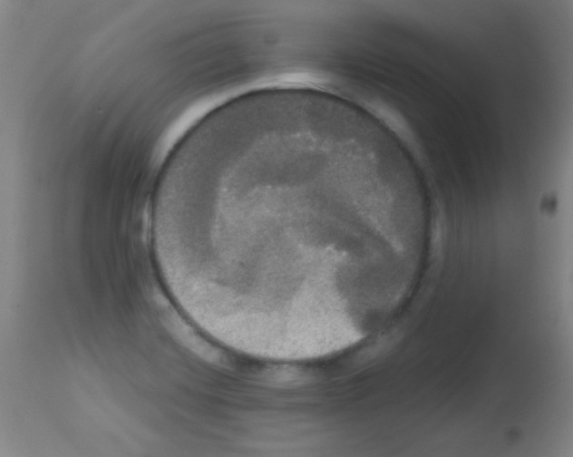 X0000113061420200910091132