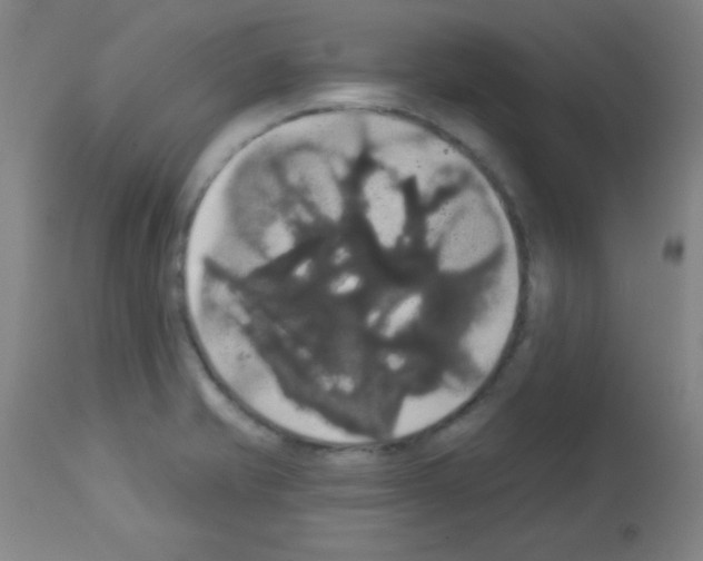 X0000113061421200910091132