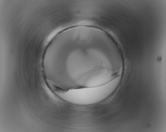 X0000113061422200910091132