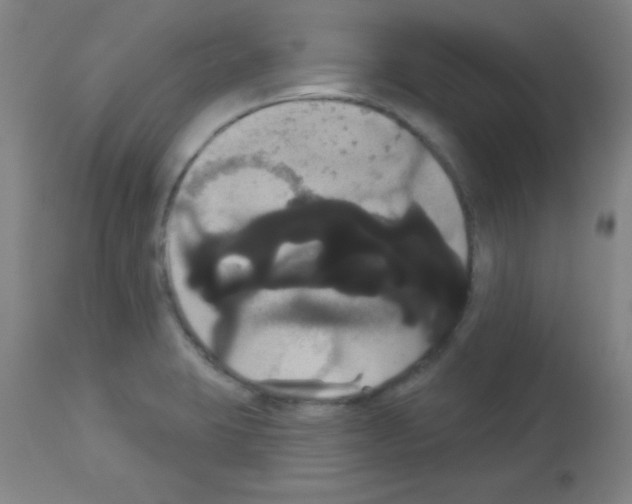 X0000113061423200910091132